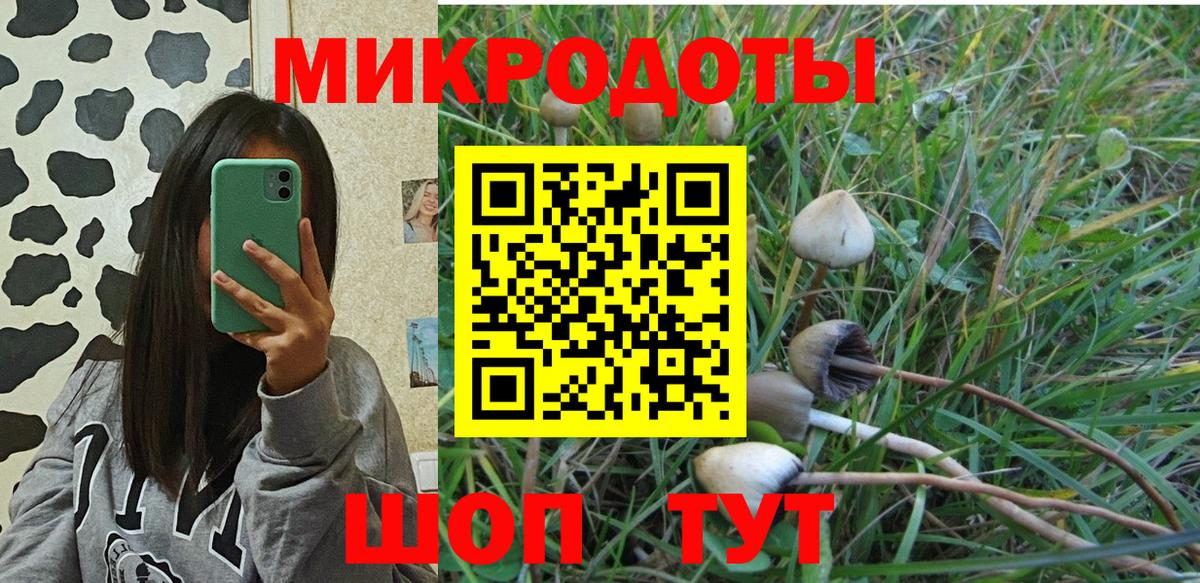 Псилоцибиновые грибы мицелий Димитровград