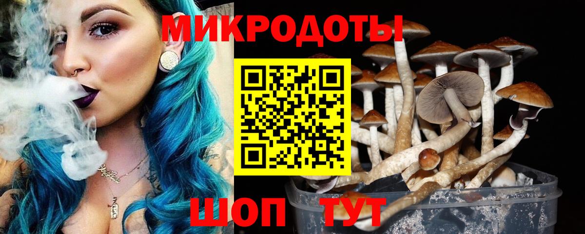 Галлюциногенные грибы мухоморы  Псилоцибиновые грибы Cubensis  Вход с VPN  Димитровград 